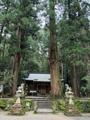 【夏越大祓、龍神様と。】