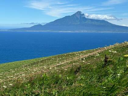【礼文島へ①】