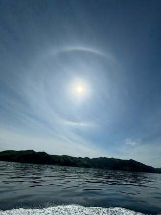 【礼文島へ②】