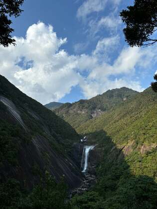 【屋久島の大自然】