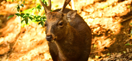 お客様と近い距離でサポートが可能な販売スタイル
